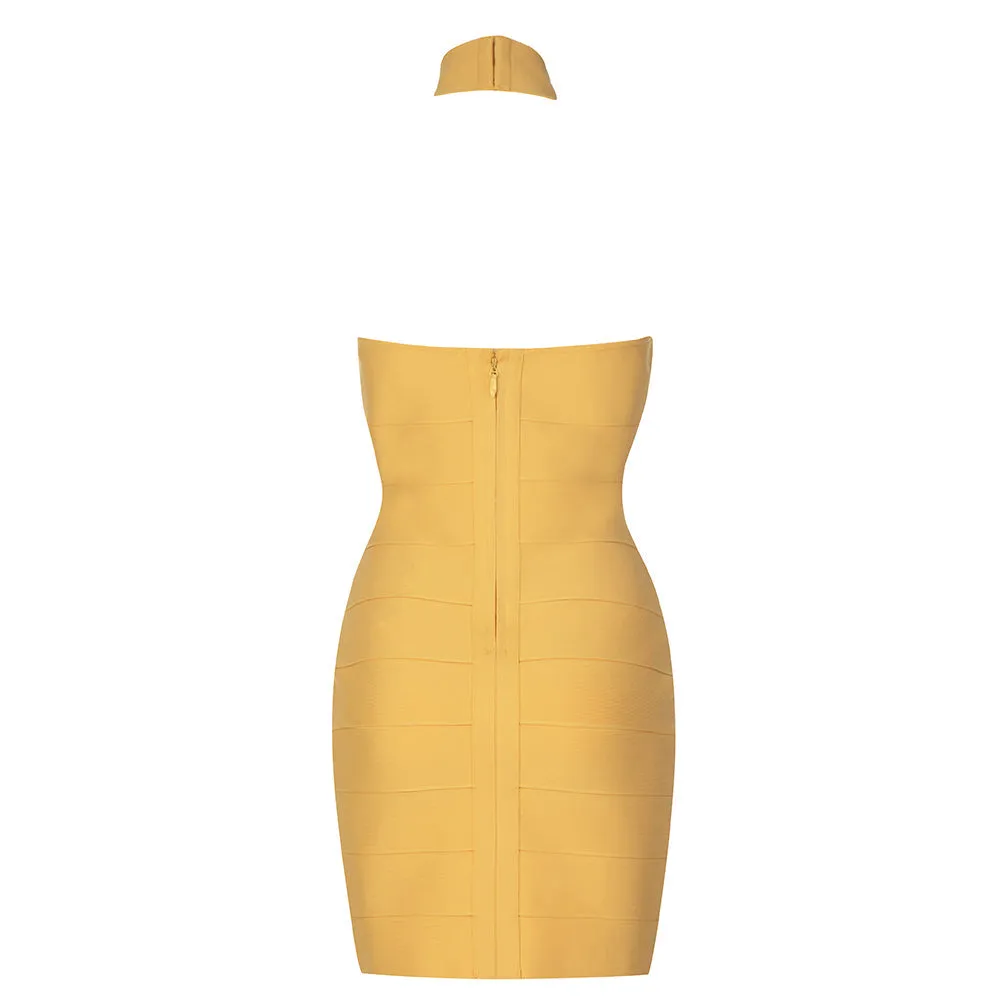 Backless Bodycon Mini Dress
