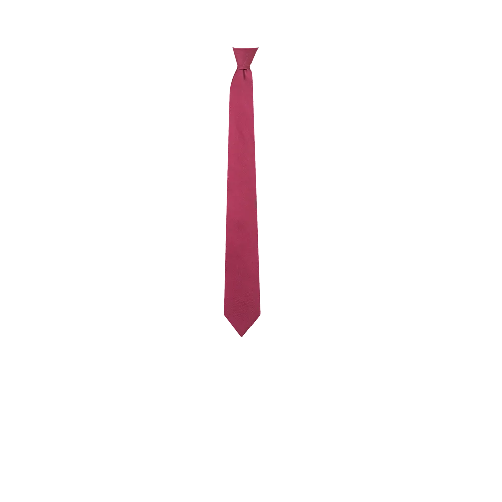 Chokore Flamingo Pink Silk Tie - Solids line