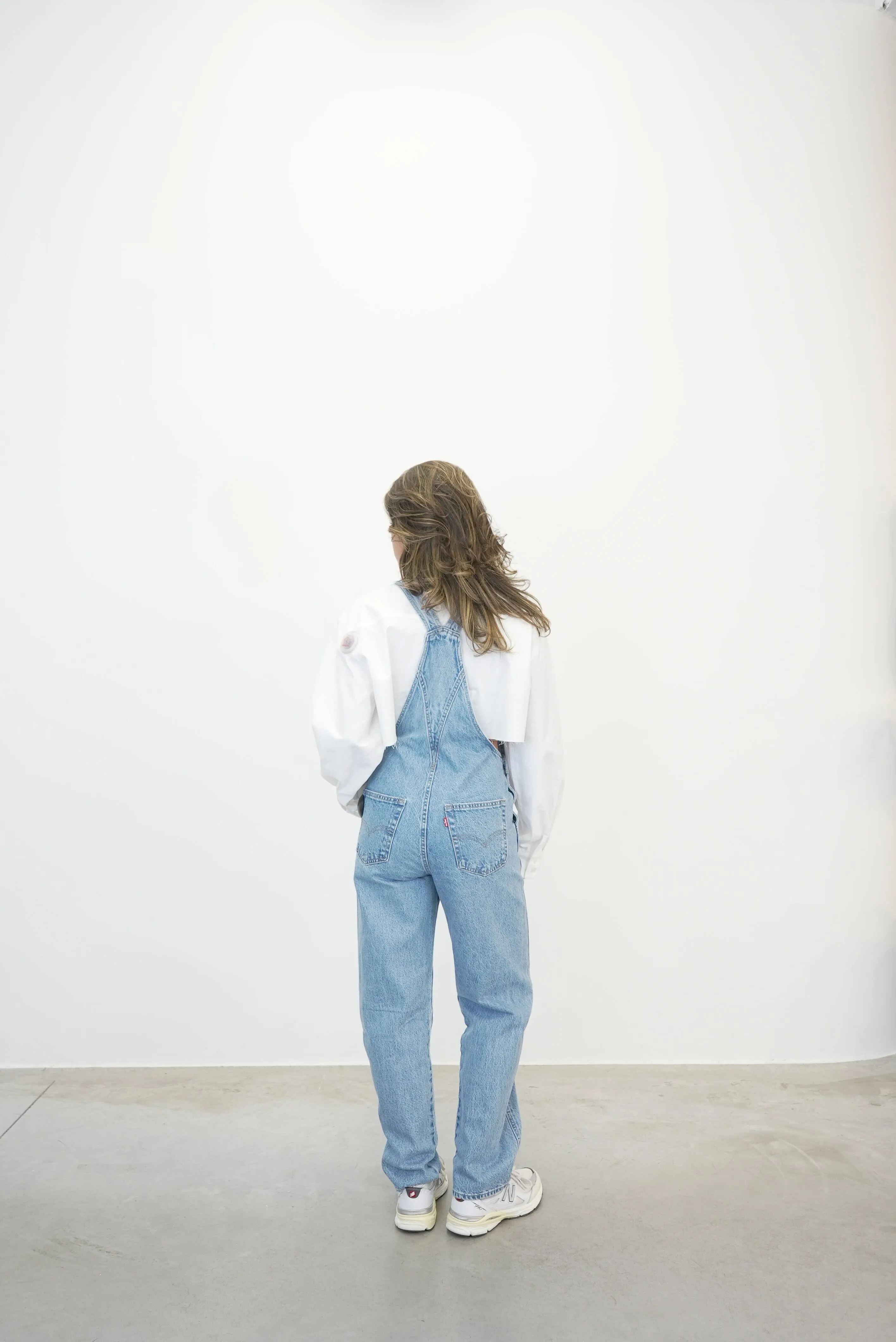 VINTAGE OVERALL DENIM IN WHAT A DELIGHT